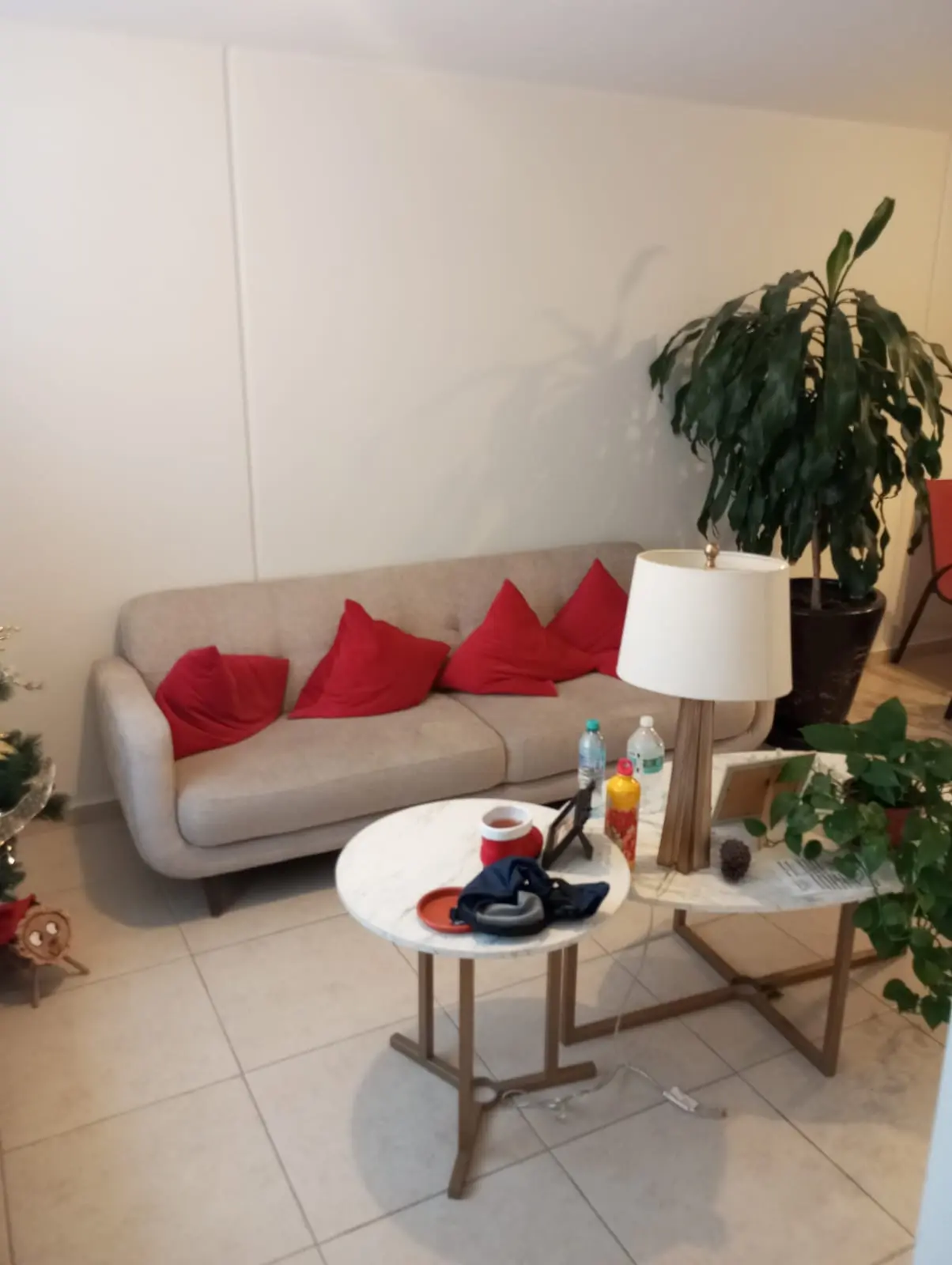 Sala de estar amueblada Tres Cantos